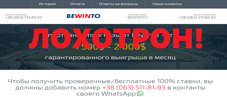 Bewinto реальные отзывы о сервисе
