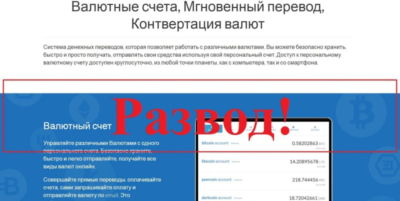 Кошелек Grosh24.online – отзывы о лохотроне — Seoseed.ru
