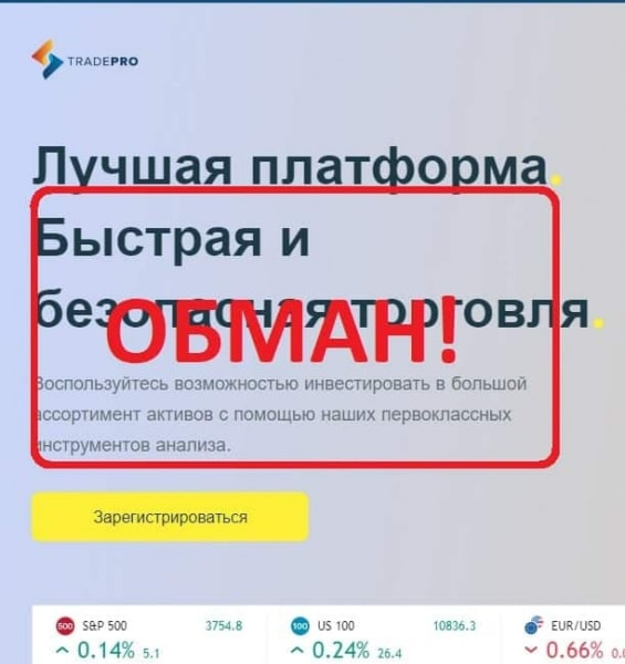 TradePRO — отзывы клиентов о компании tradepro.ai — Seoseed.ru