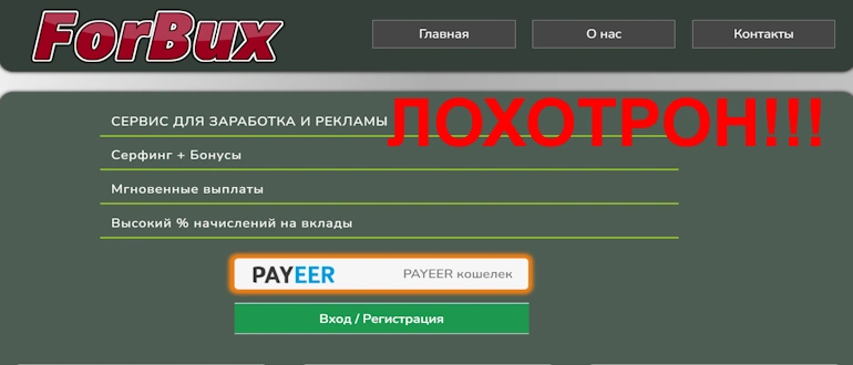 Forbux отзывы и обзор проекта